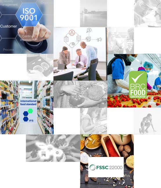 ConsultingPress Management Copnsulting Industry Sectors